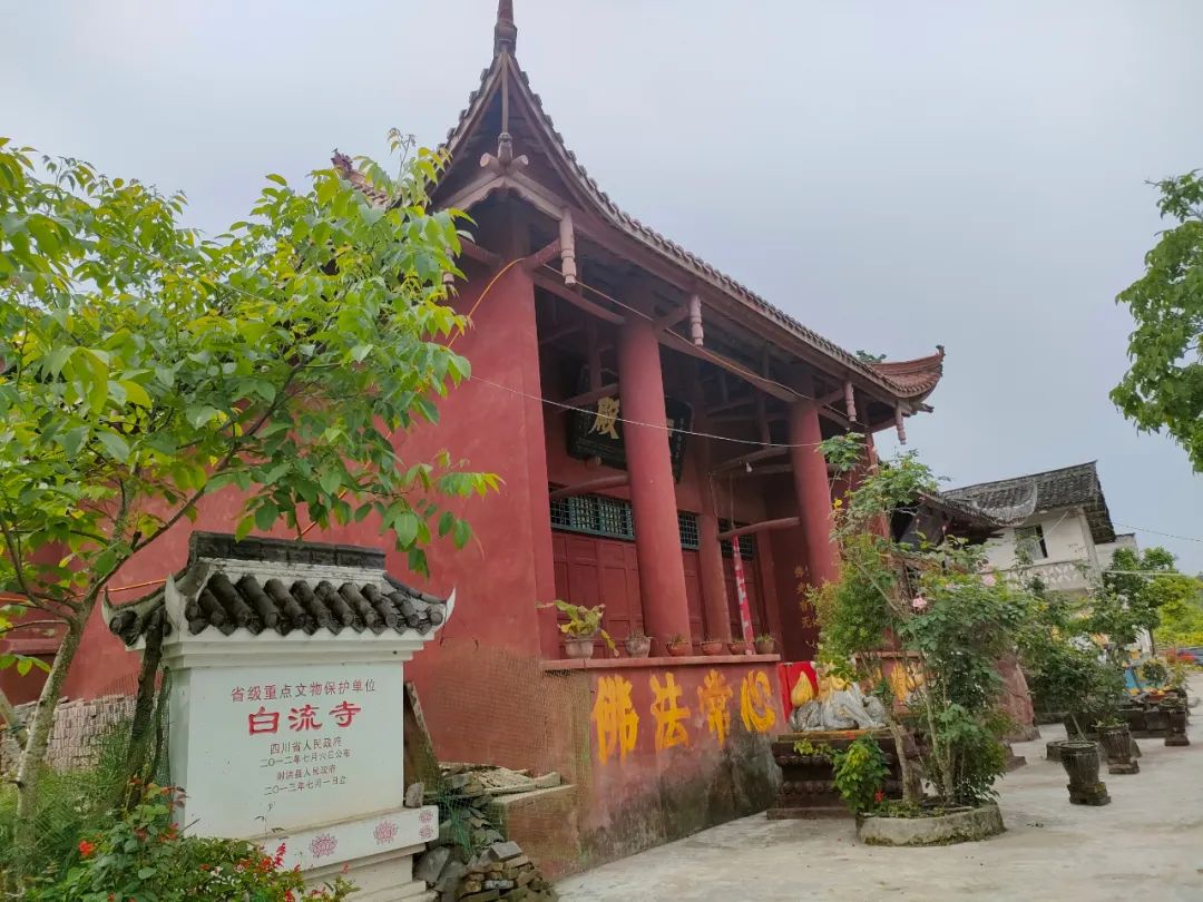 奇闻！唐僧是在射洪白流寺出家？