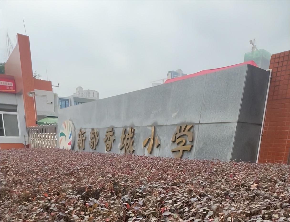 新都最好三所小学,新都哪些小学属于公立