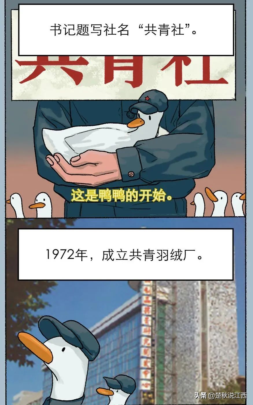 五十年品牌历史,50年中国服装品牌