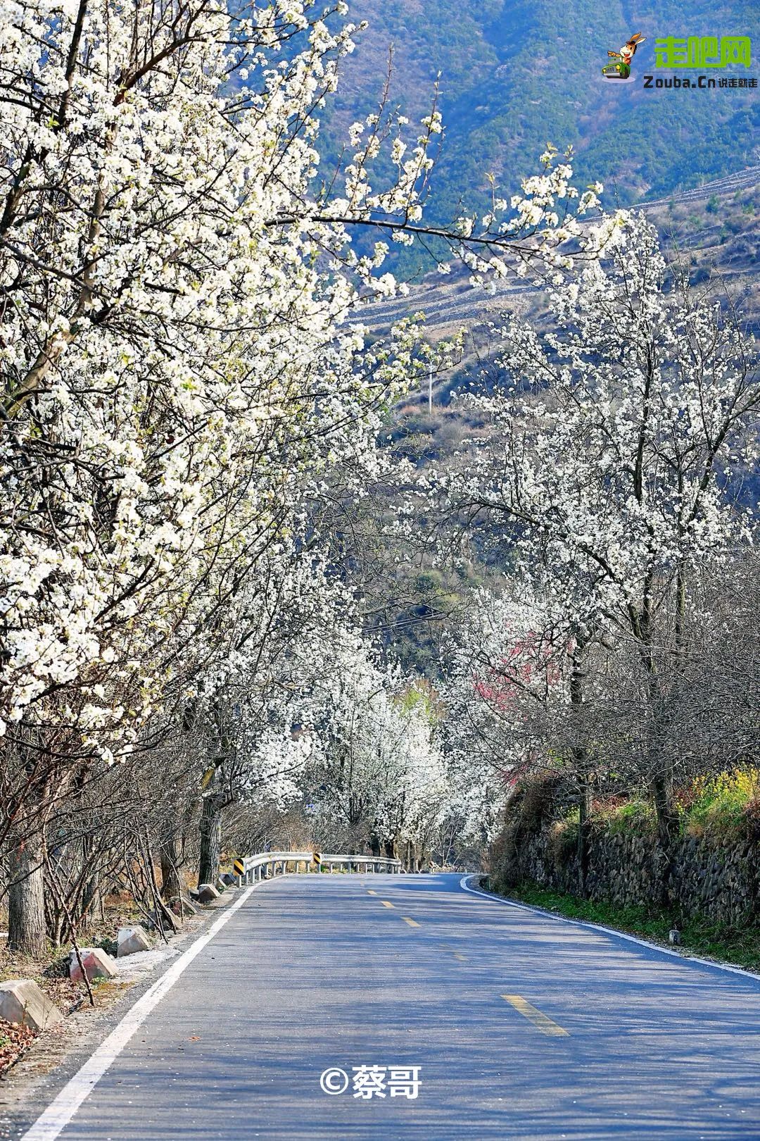 51自驾游3天路线推荐,2023年40多天自驾游线路介绍