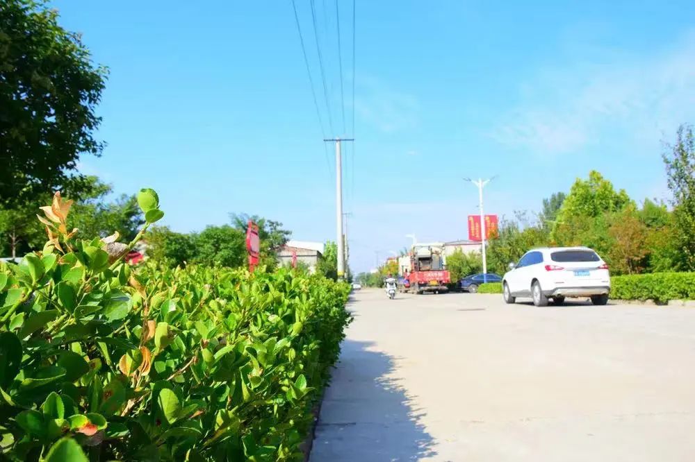 长葛农贸市场智能化,长葛农贸市场招商