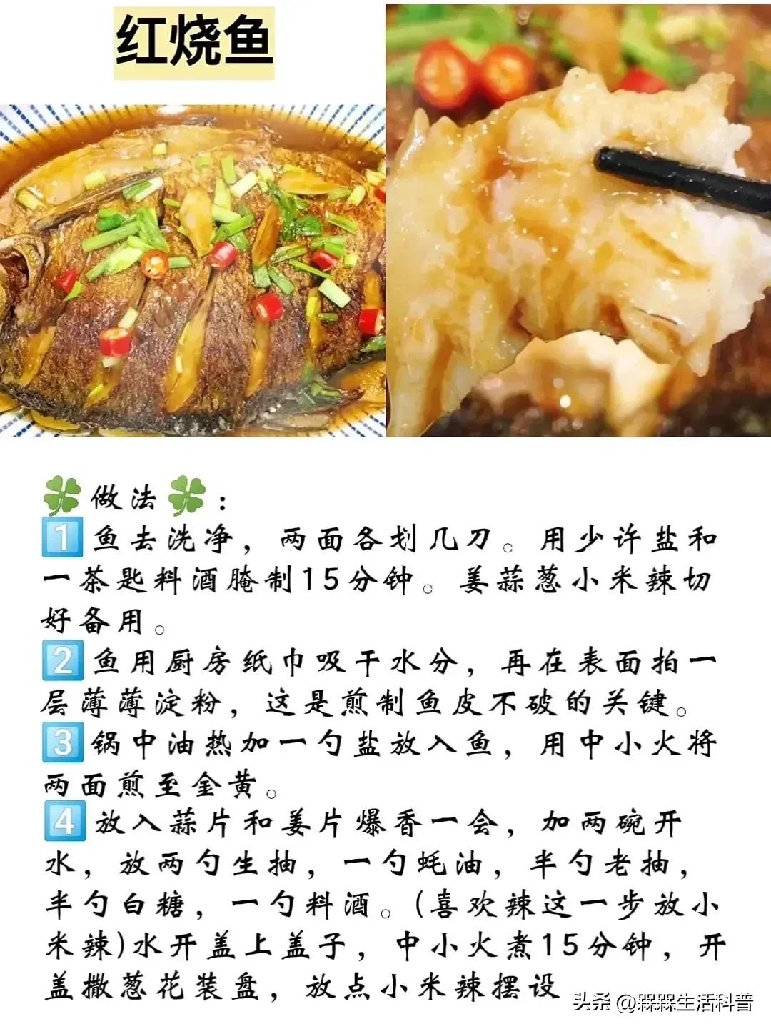 各种鱼图解大全,100种常见家常鱼的图片