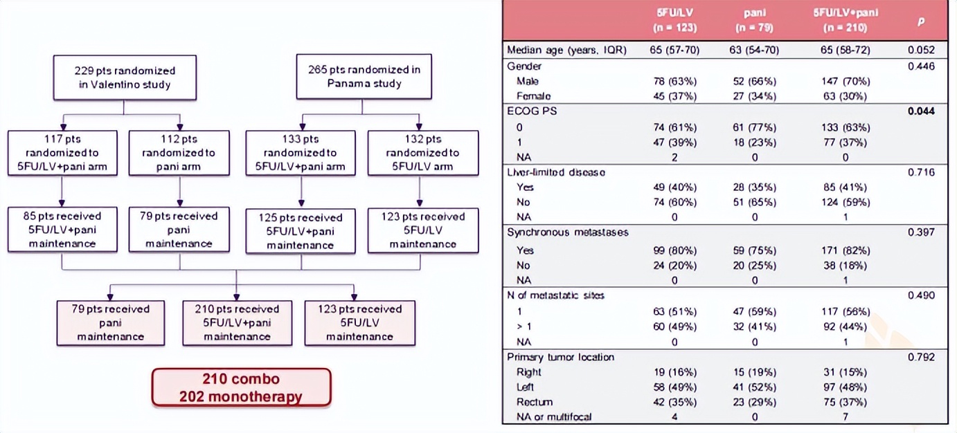 mss型直肠癌pd1免疫治疗,联合治疗和单靶向治疗哪个好