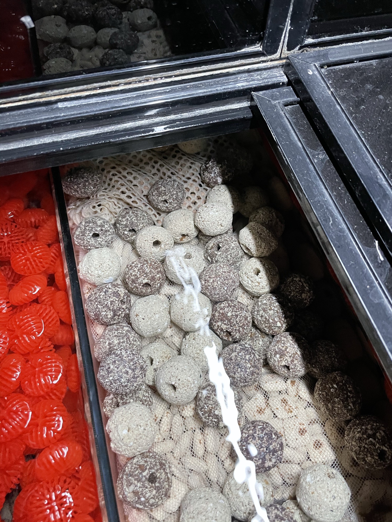 鱼缸硝化系统崩溃是什么原因,新鱼缸最快建立硝化系统时间