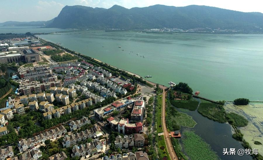 滇池蓝藻治理花费,官方回应滇池池水变绿蓝藻泛滥