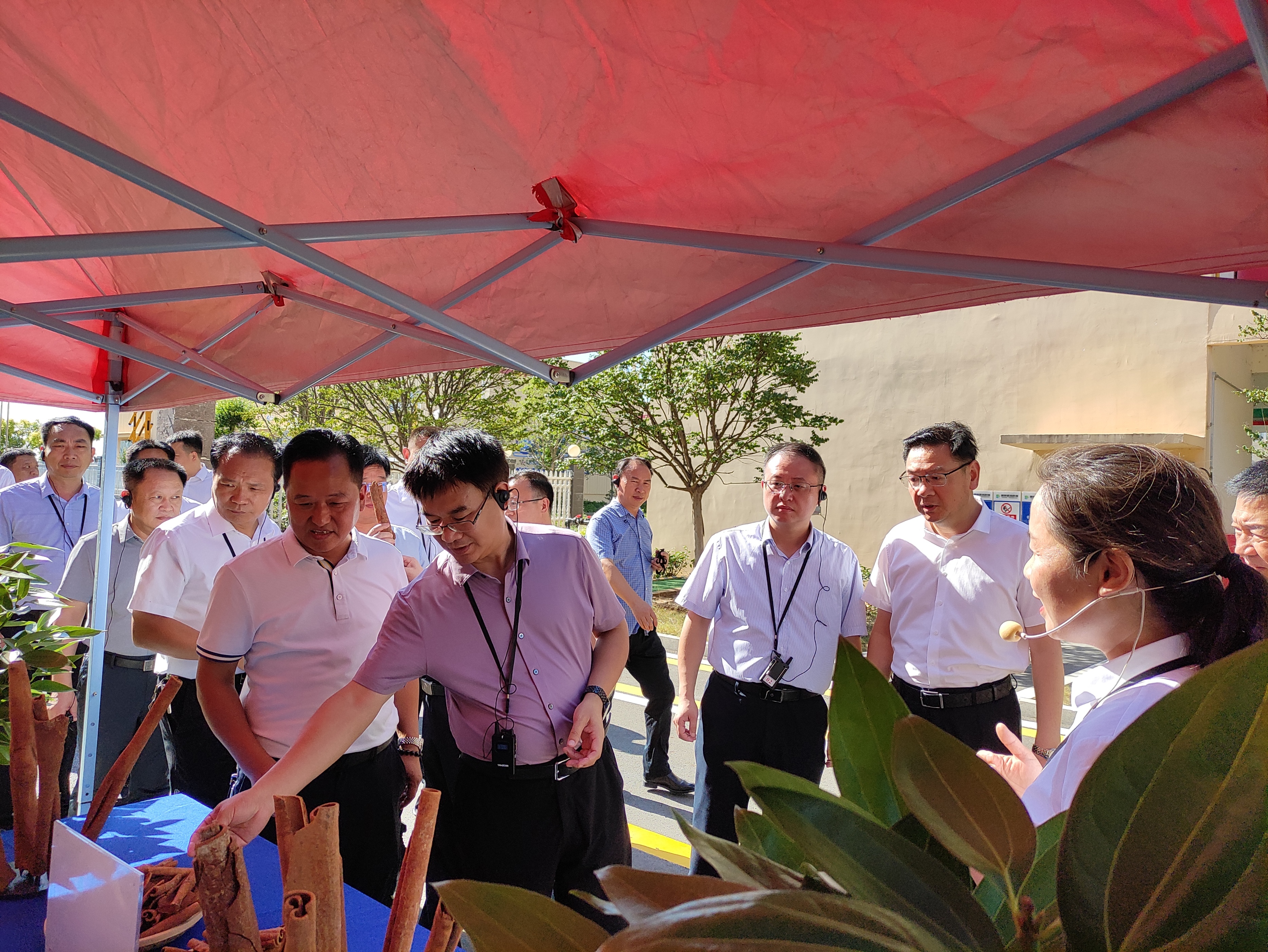 枣阳赐祥医药科技有限公司,枣阳市赐祥医药科技有限公司产品