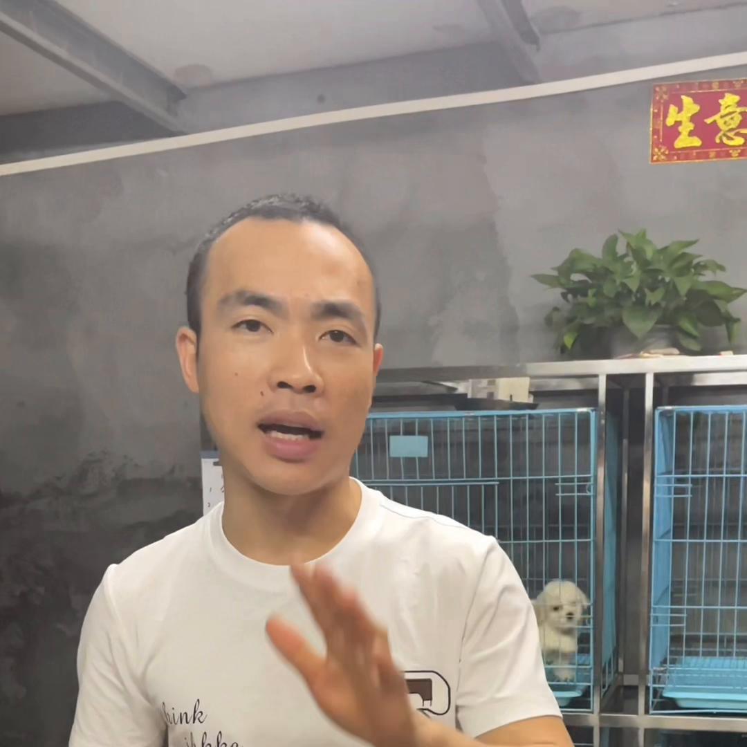 网上买狗被骗就没办法了吗,在网上买狗怎样才不会被骗