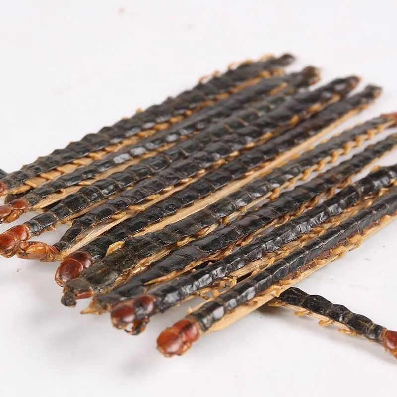 每天学习一味中药蜈蚣,蜈蚣打通血管中药配方