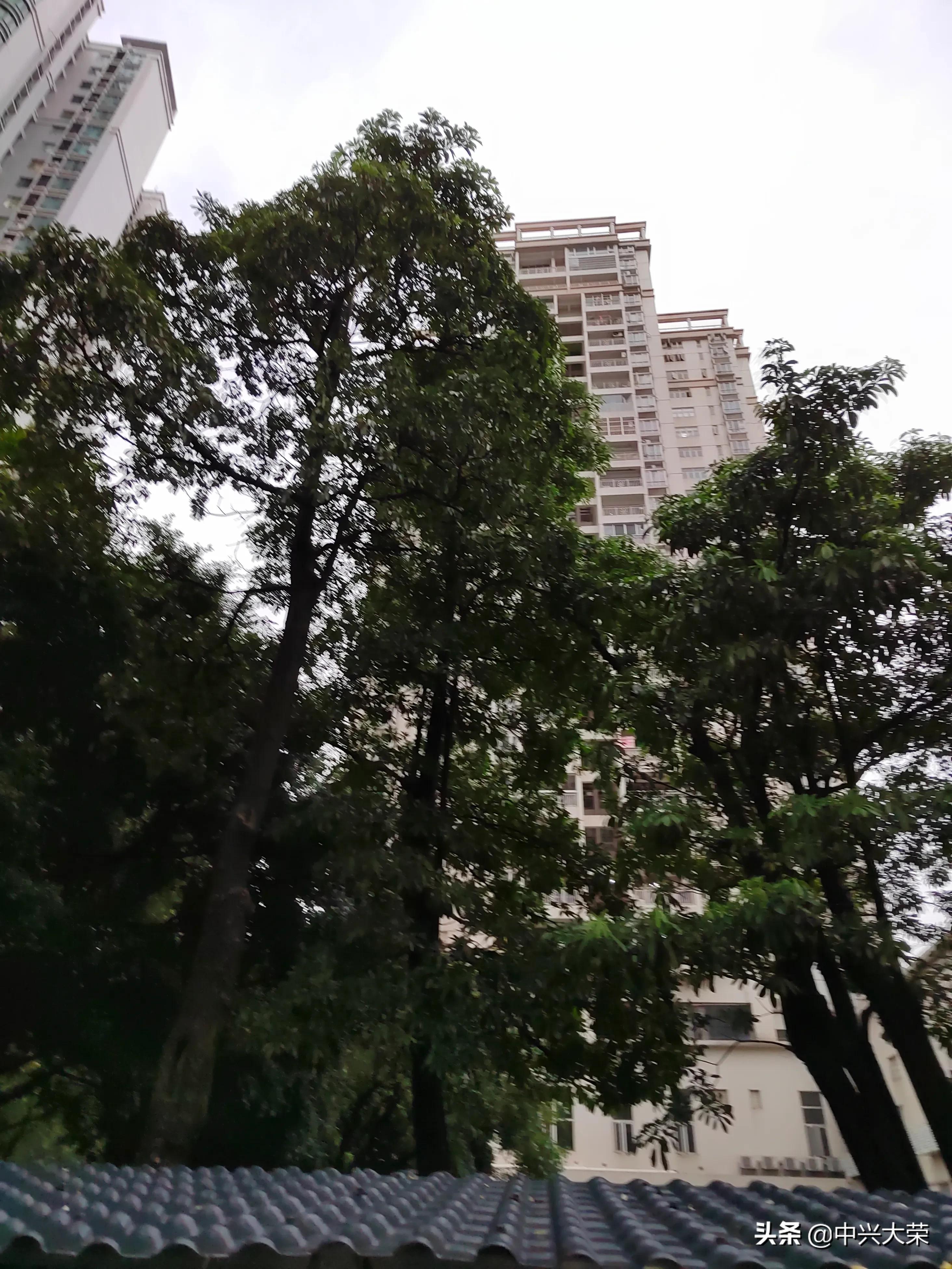 为了那场渴望的赛事