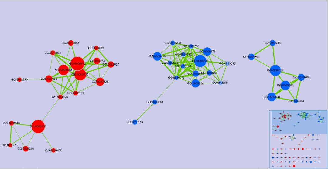 如何理解gsea,gsea安装使用教程
