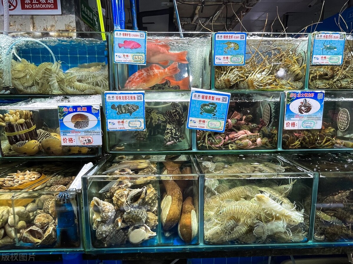 潍坊到三亚旅游攻略7天6晚旅游团,成都到三亚旅游攻略自由行4天3晚