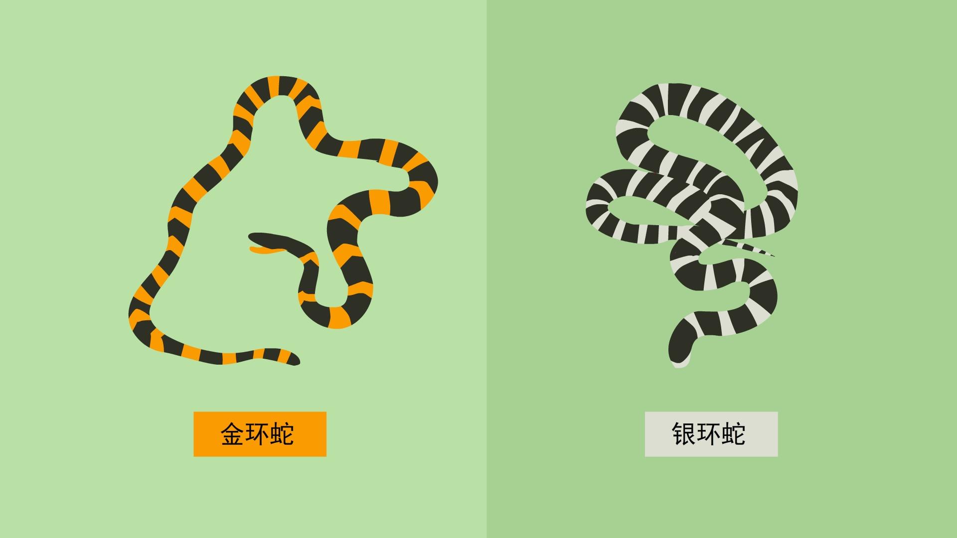 是真的吗科学实验蛇怕雄黄,是真的吗蛇怕雄黄