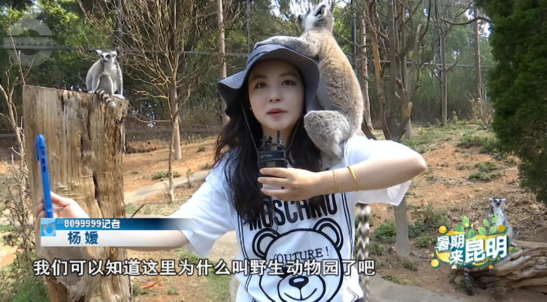 昆明动物世界野生动物园,昆明大自然野生动物园