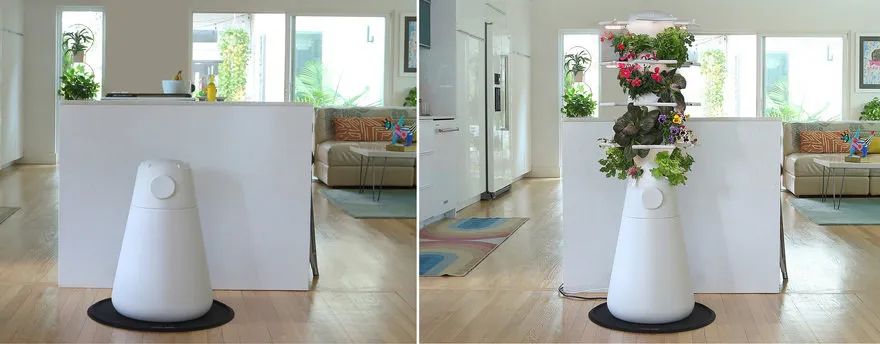 core77获奖设计作品,2024if设计奖获奖作品