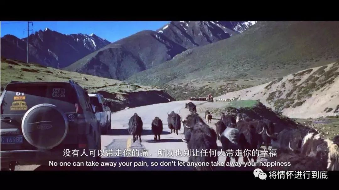 力拔山兮气盖世的视频,普拉多科威特版lc120