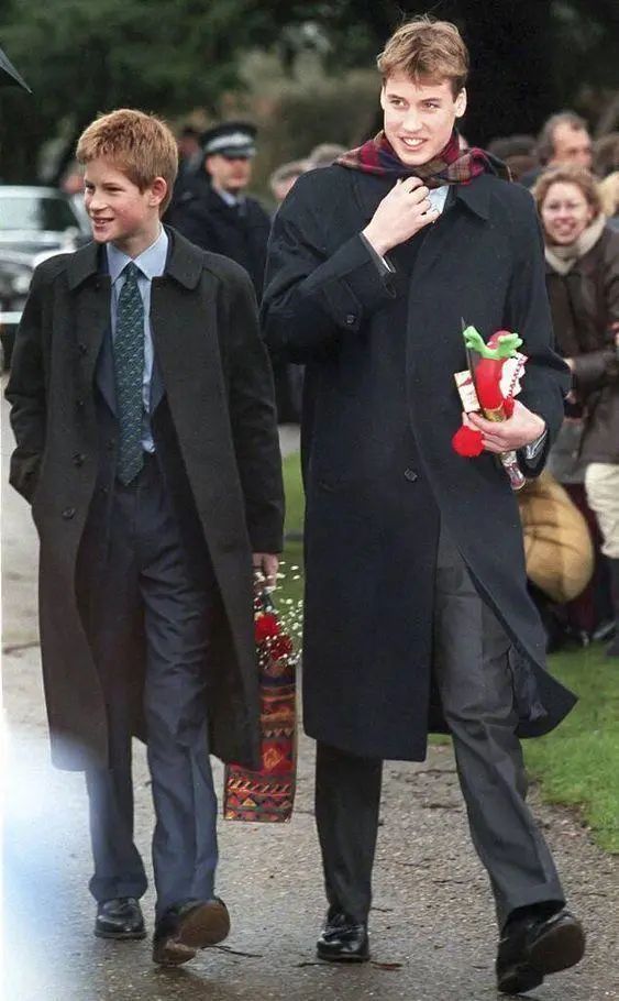 全香港男人的梦想,全香港男人的梦中情人袁咏仪