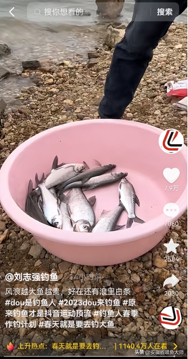 岳阳钓白条，大的有八两，网友:这是白条？这难道不是翘嘴？