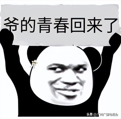 广视新闻回放,广视新闻同步直播