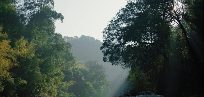 探访南水北调的水源地,实地探访农夫山泉