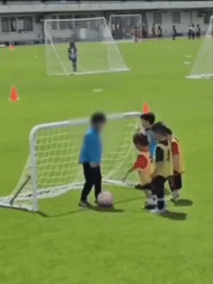 性取向测试,性取向测试怎么看结果