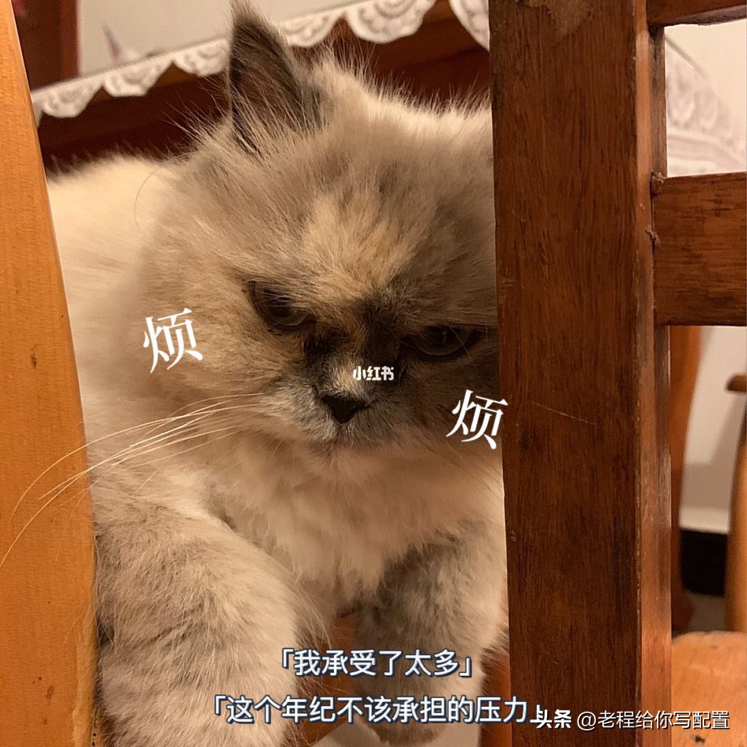 如何选二手amd处理器,二手amd处理器值得买吗