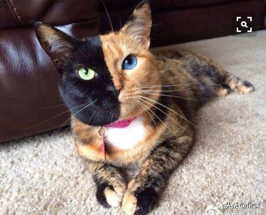 【晚清*楼青**秘史】*楼青**女媚态撩心，丰乳肥臀，风情再现！