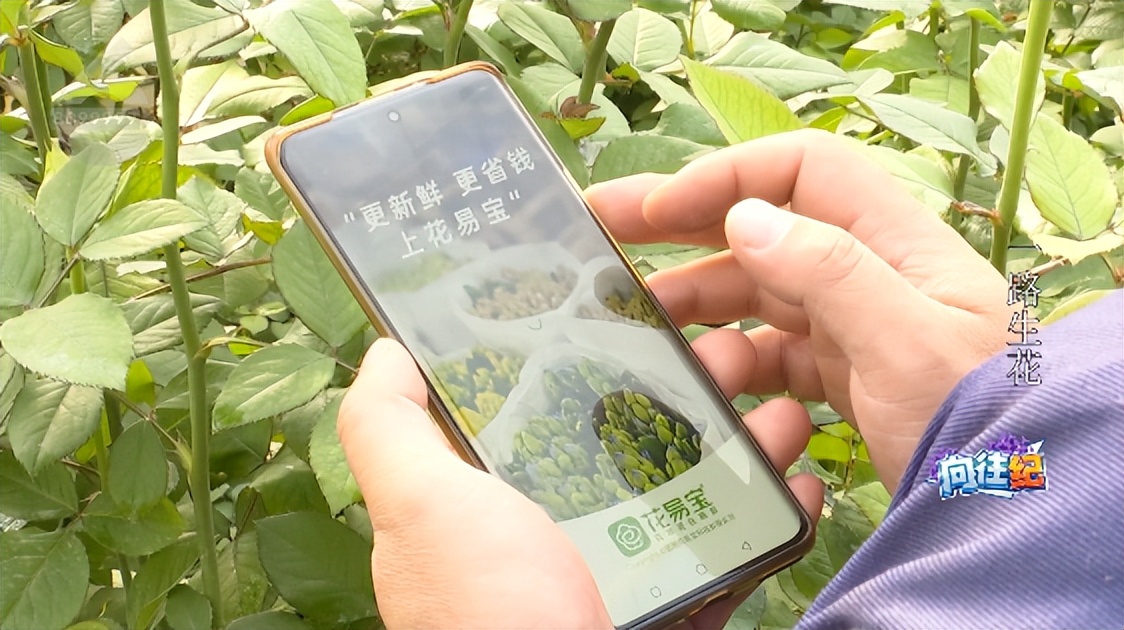 盘点人们都向往的工作,向往的工作和现实的工作