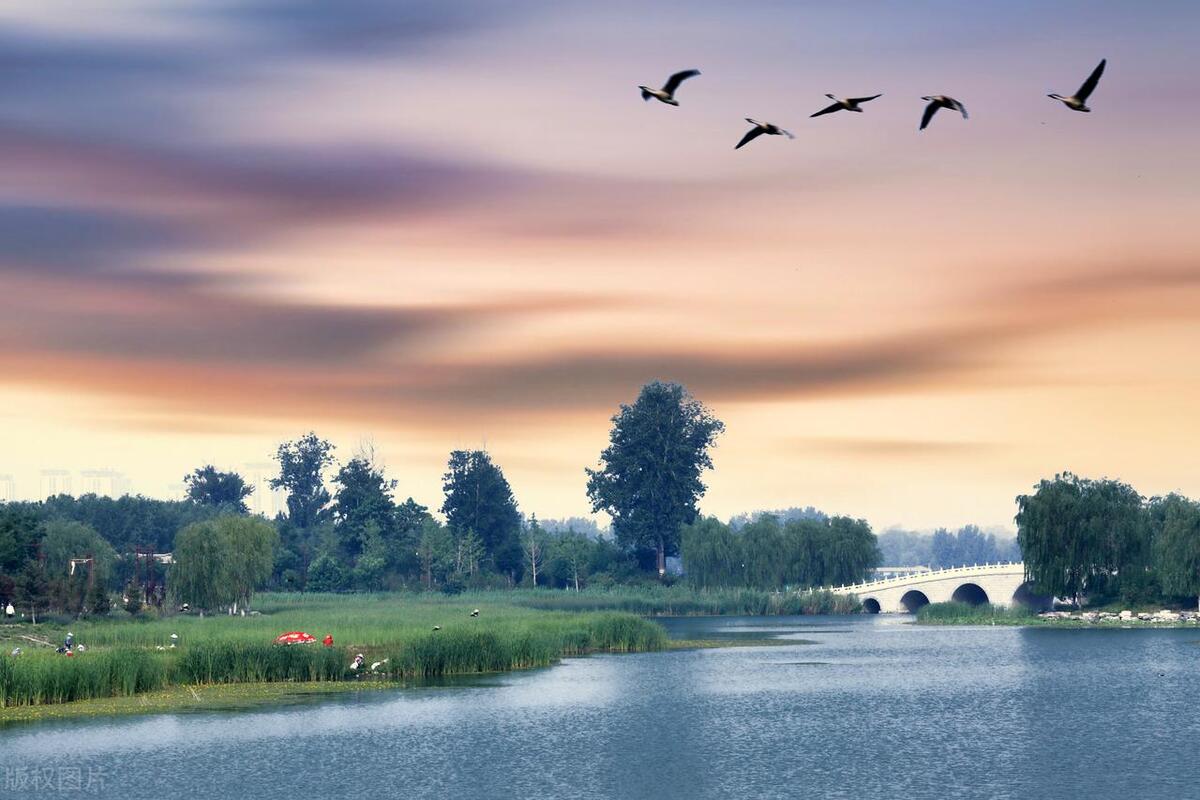 大兴区自驾游推荐景点,北京大兴区公园景点