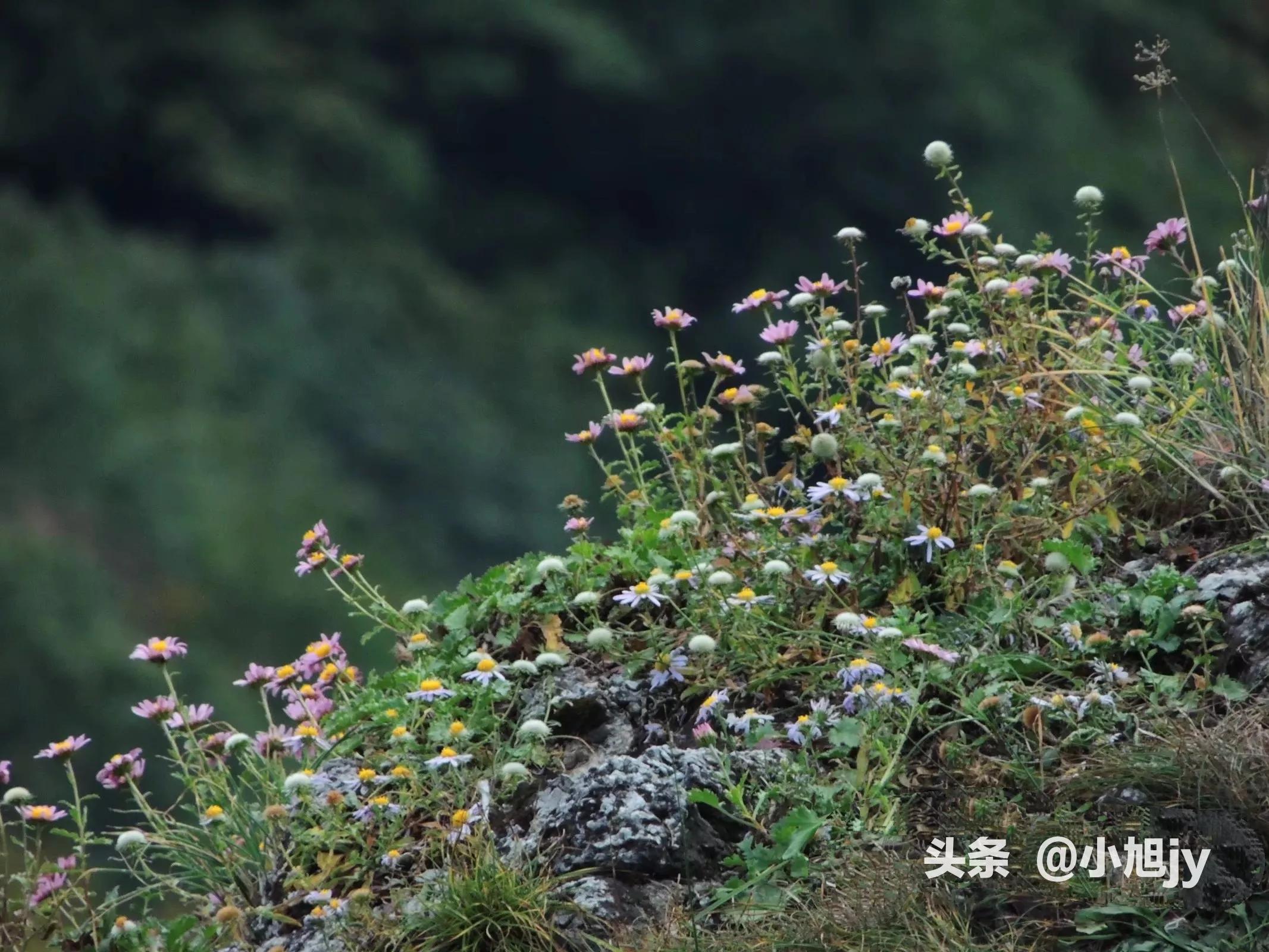 做快递驿站累不累,做个快递驿站员有多辛苦