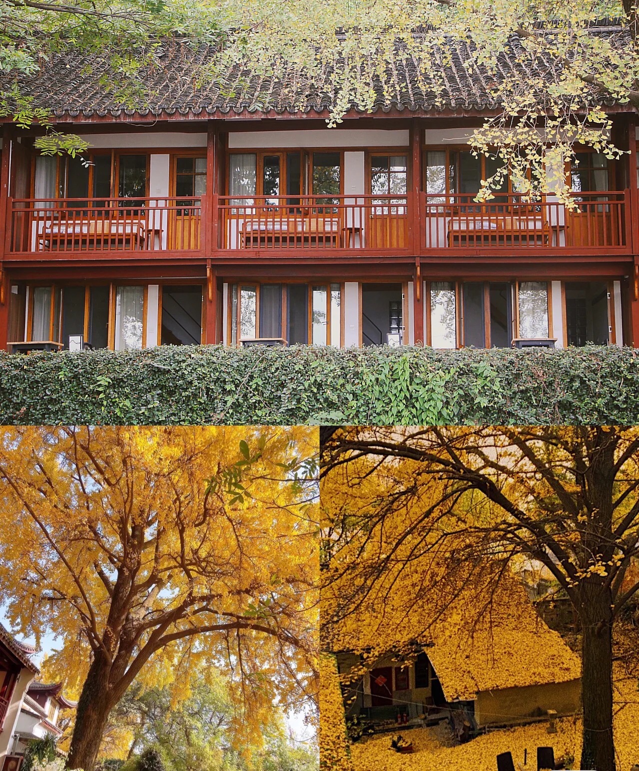 杭州旅游攻略小众景点有哪些,旅游杭州小众景点推荐