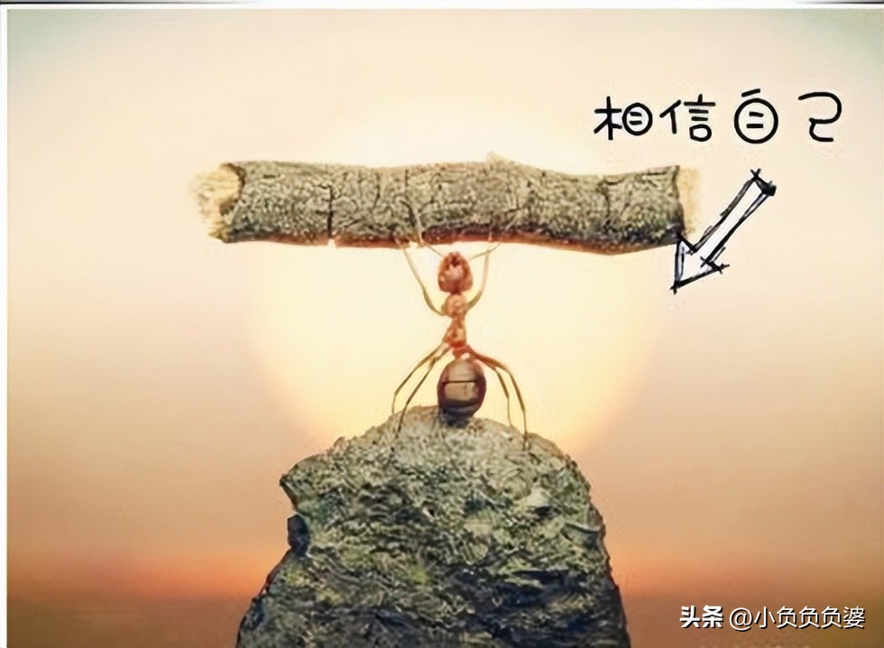 鐧藉珫琛屼笟,鐧藉珫璧氶挶椤圭洰