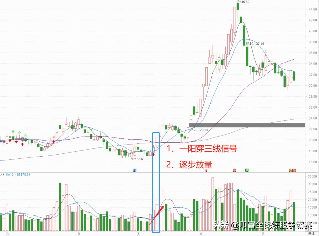 一招学会炒股绝活,学会炒股技巧能赚钱