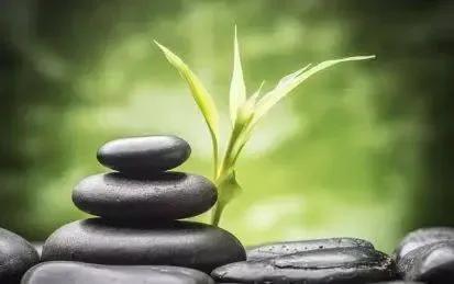 本轮牛市真相大揭秘,本轮牛市未来发展趋势分析