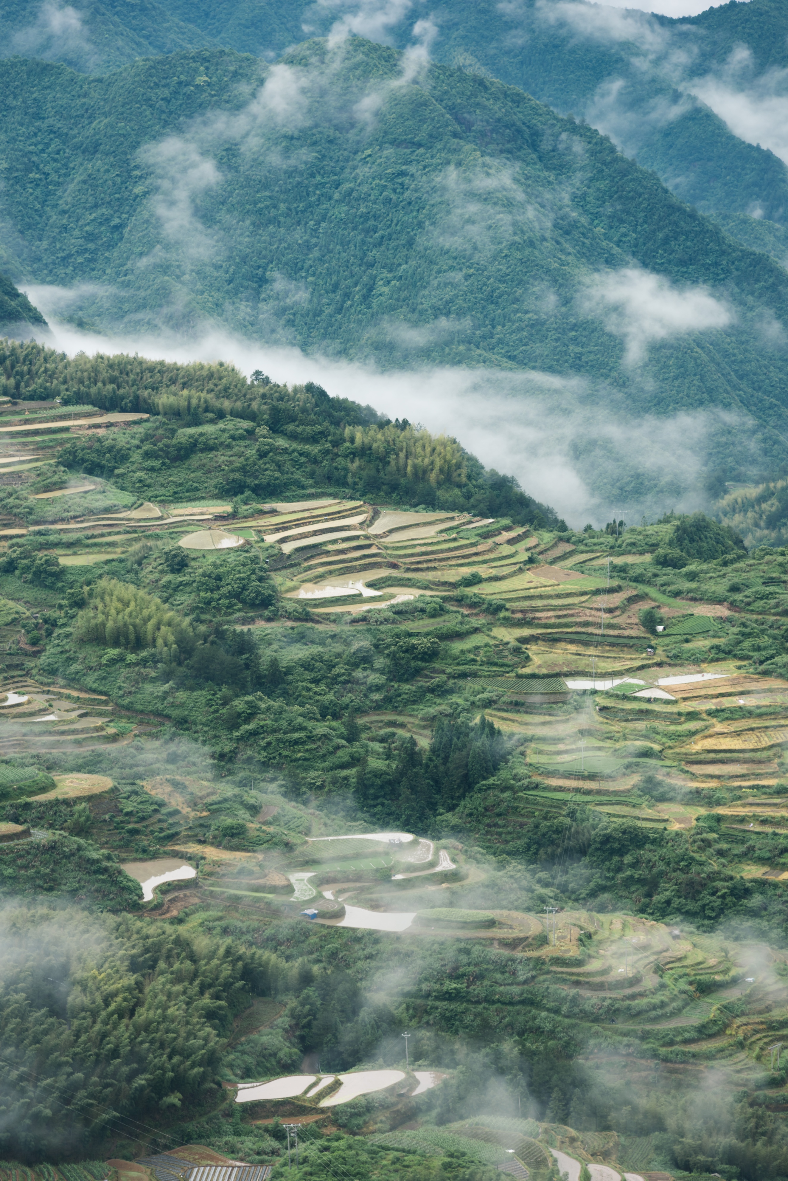 丽水遂昌旅游攻略一天游 (丽水遂昌被称旅游胜地)