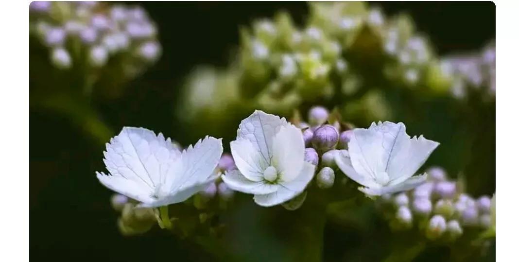 亲子情书妈妈写给孩子的一封信,写给青春期的女儿的一封信