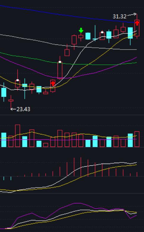 随心动含义,随心意交易软件怎么样