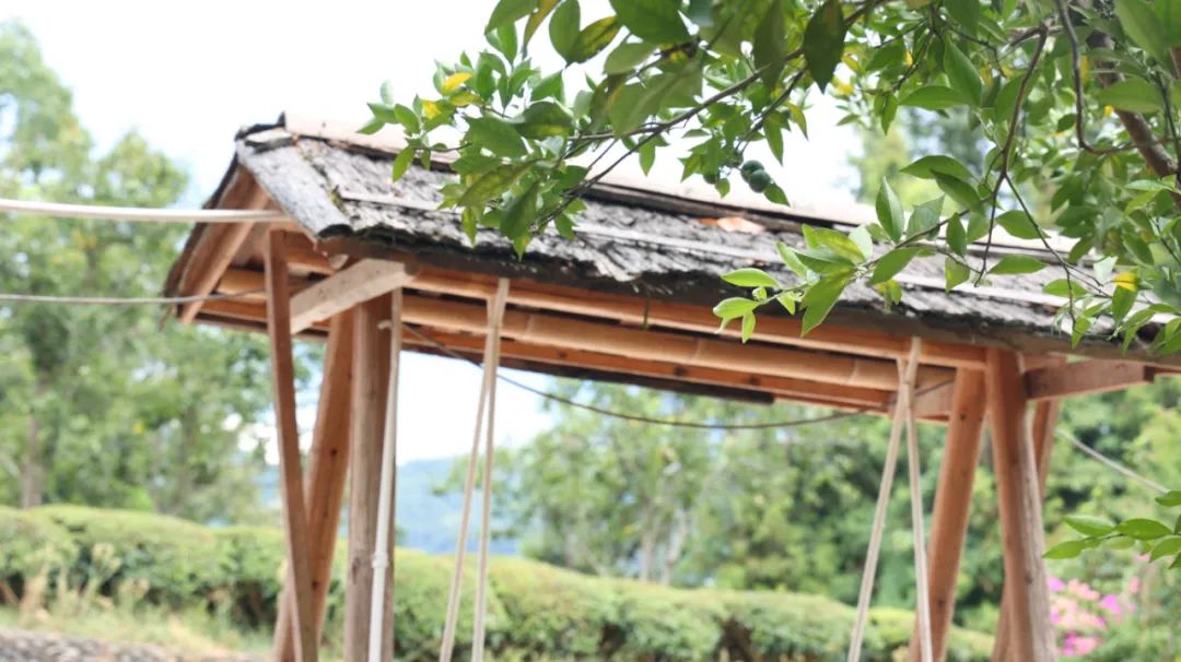 湿疹水泡很痒是怎么回事,皮肤瘙痒湿疹怎么快速治疗