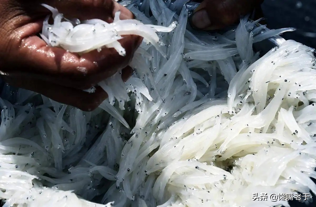 去天津必点的5道津菜,天津正宗津菜哪里最好