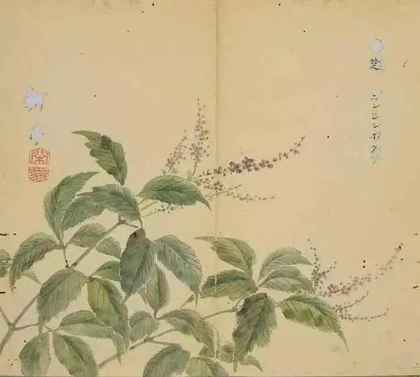 陈风月诗经原文,诗经陈风月出全文注音