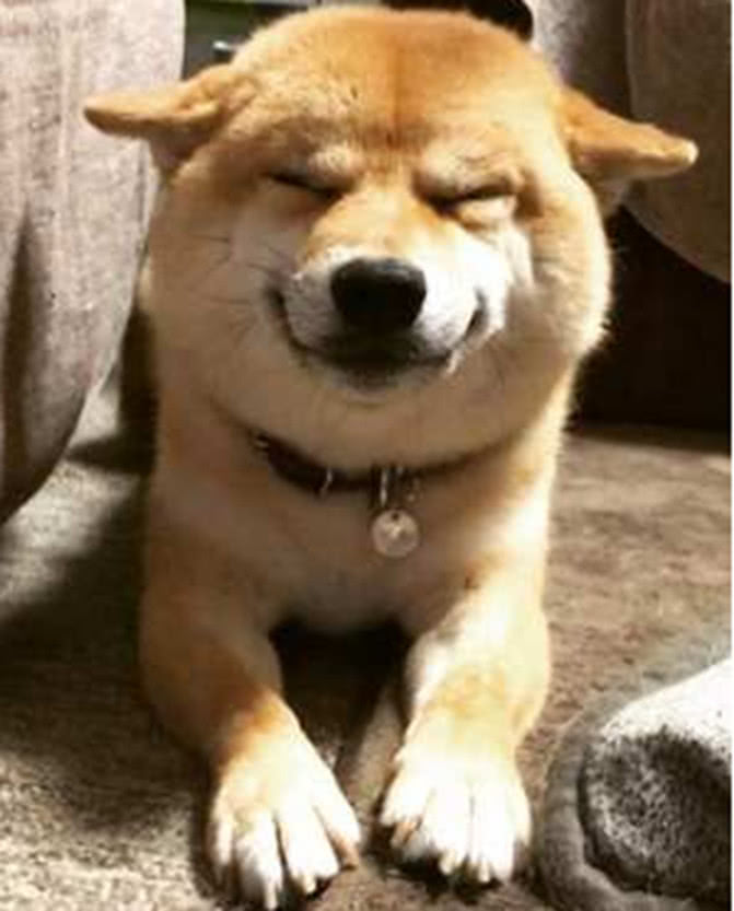 伊丽莎白雅顿身体乳按压泵,伊丽莎白雅顿身体乳价格