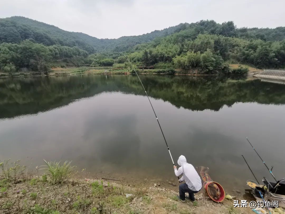 什么样的鱼竿比较好抛投,4.5米鱼竿和5.4米的鱼竿哪个实用