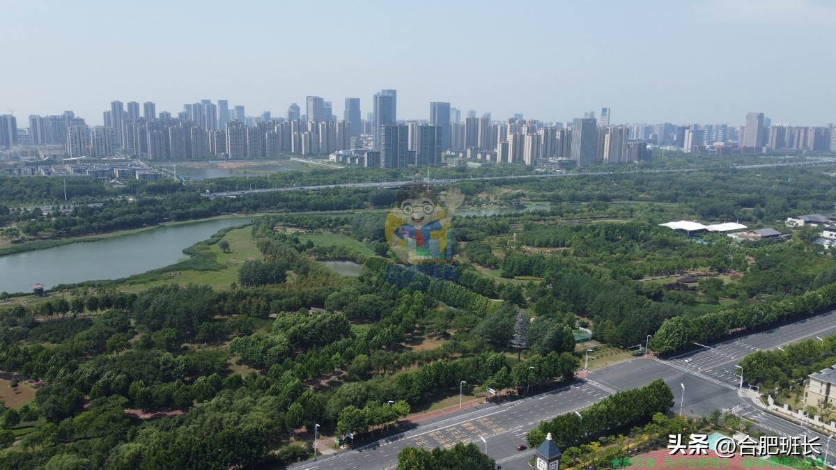 为什么这么多人买st,为什么想买滨湖的房子