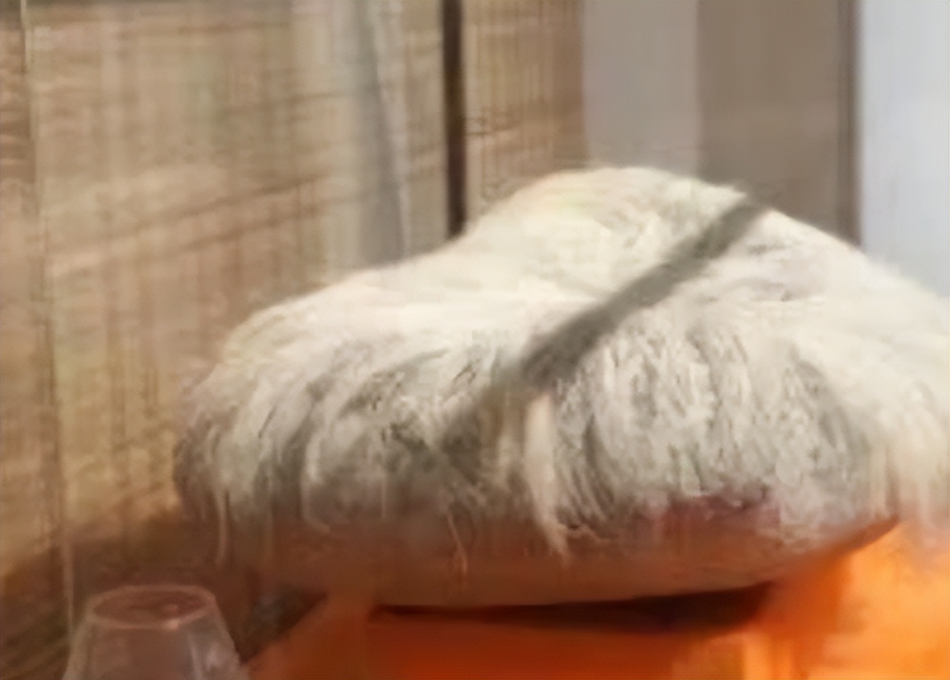 辽宁男子花5000万买下原石,长满白发的石头