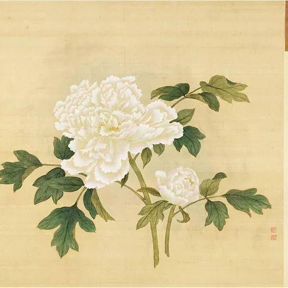 蒋廷锡牡丹画法,蒋廷锡百种牡丹画法