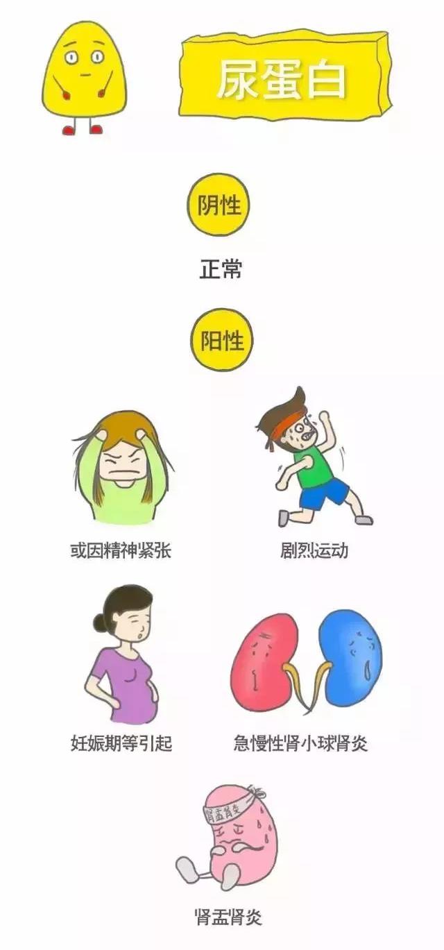 全套体检报告图解,最全体检报告化验单解读