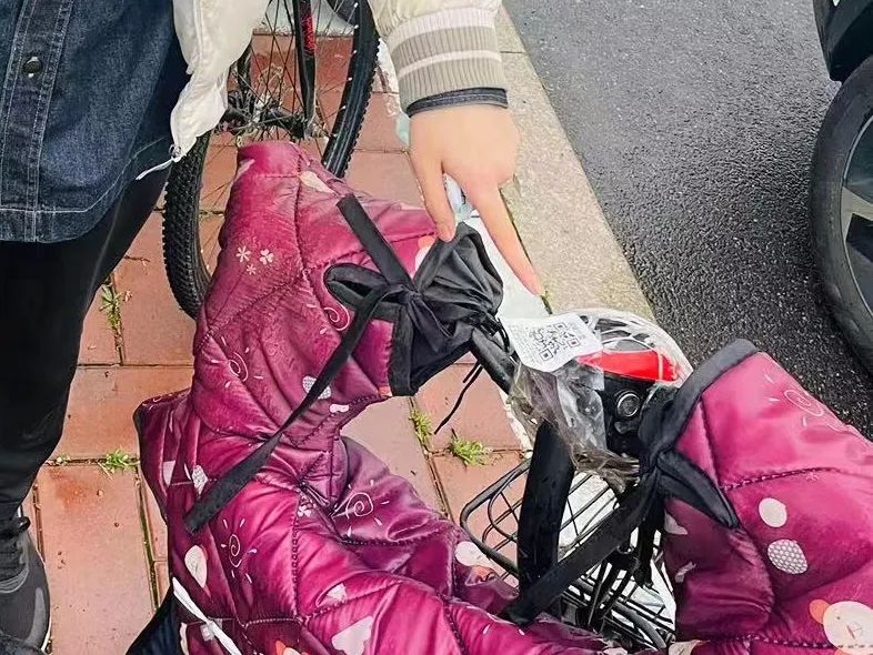 同城捉猫,同城约单入会