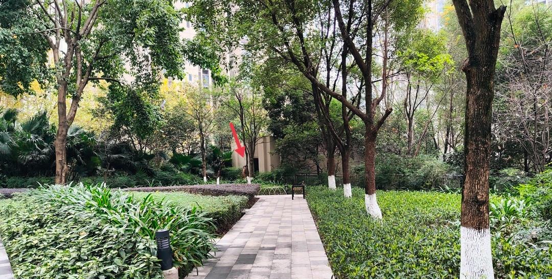 SOUNDPEATSAir3与Pro的对比,soundpeatsair3评测白色