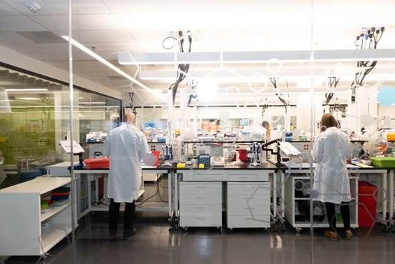 旧金山城市规划问题,旧金山中心城区