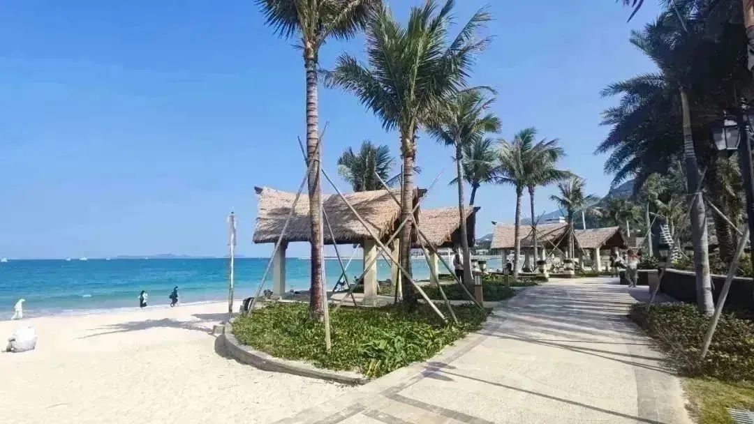 深圳2天1夜旅行攻略,深圳沙头角一日游详细攻略