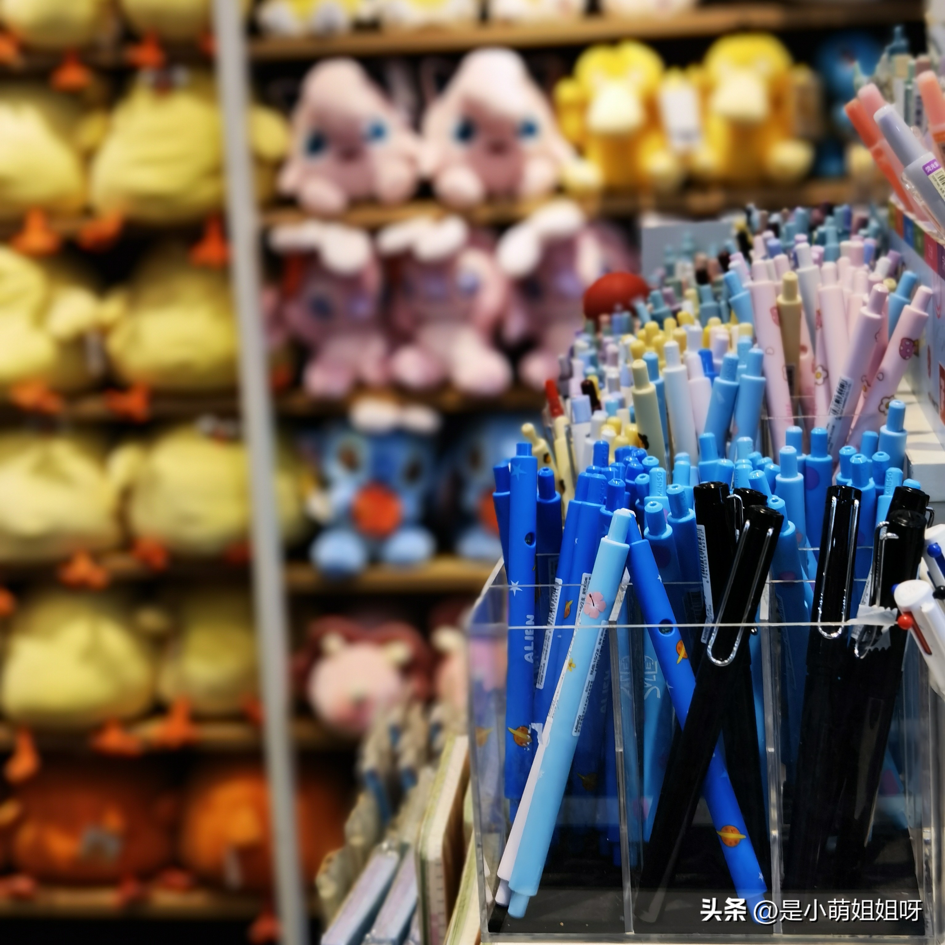 写作既能赚钱又不孤单,靠写作赚到人生第一桶金